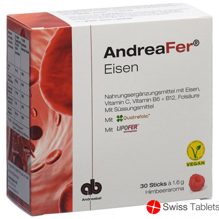 Andreafer Iron Sticks 30 pieces buy online