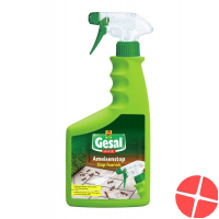 Gesal Ameisenstop Barriere Spray 750ml