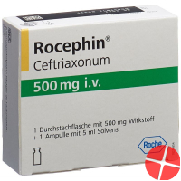Rocephin 500mg i.v. C Solv Durchstechflasche