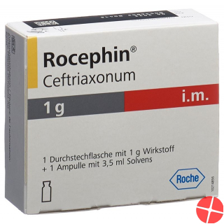 Rocephin 1g i.m. C Lidoc Durchstechflasche