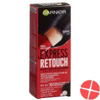 Garnier Express Retouch 1 Black 10ml Garnier Express Retouch 1 Black 10ml