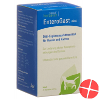 Enterogast Akut Tabletten Dose 21 Stück