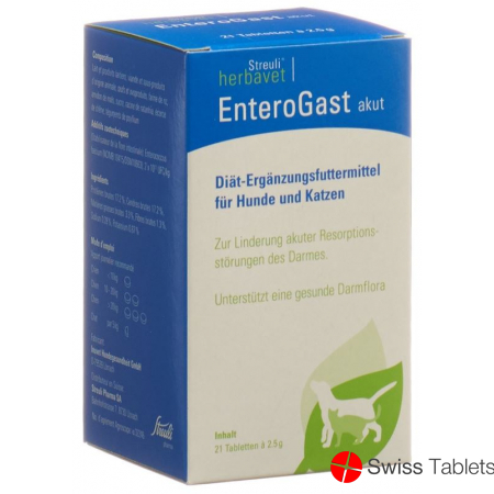 Enterogast Akut Tabletten Dose 21 Stück buy online