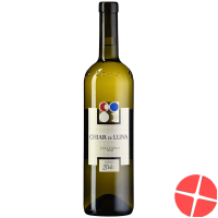 Bianco Di Merlot Ticino Doc Chiar 2017 6x 75cl