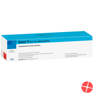 Bupaq P Injektionslösung 0.3mg/ml Ad Us.vet. 6x 2ml