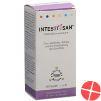 Intestisan Kapseln Flasche 60 Stück
