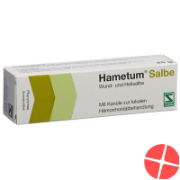 Hametum Salbe mit Kanüle (neu) Tube 25g