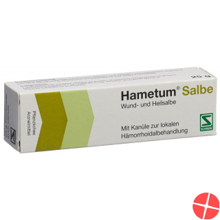 Hametum Salbe mit Kanüle (neu) Tube 25g