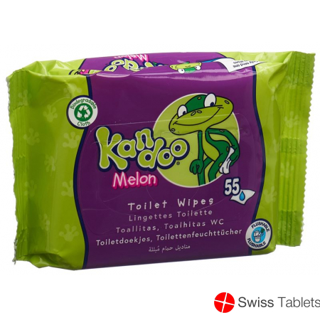 Kandoo Feuchttücher Melone (neu) 55 Stück buy online