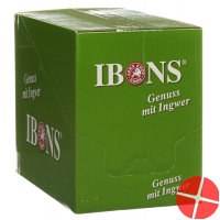 Piniol Disp Ingwer Bonbons Zitro Zuckerfrei 10x 75g