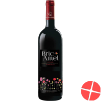 Langhe Nebbiolo Doc Bric Amel 2017 6x 75cl