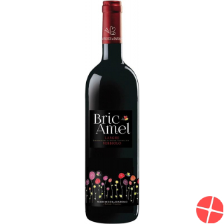 Langhe Nebbiolo Doc Bric Amel 2017 6x 75cl