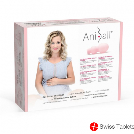Aniball silicone balloon replacement buy online