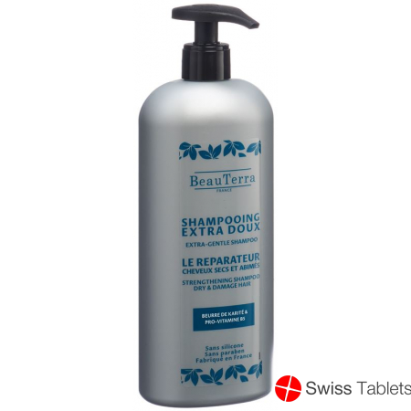 Beauterra Shampoo Extra Mild Regenerierend 750ml buy online