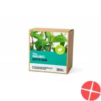 Dixa Marokkanisch Minze Nana Bio Py Beutel Box 20 Stück