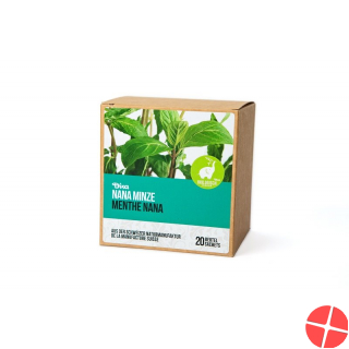 Dixa Marokkanisch Minze Nana Bio Py Beutel Box 20 Stück