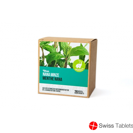 Dixa Marokkanisch Minze Nana Bio Py Beutel Box 20 Stück buy online
