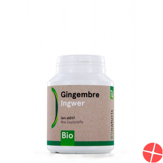 Bionaturis Ingwer Kapseln 250mg Bio 120 Stück