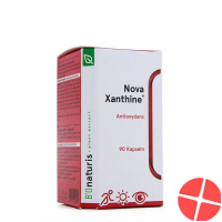 Bionaturis Novaxanthine Astaxanthin Kapseln 4mg Dose 90 Stück