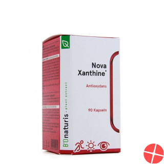 Bionaturis Novaxanthine Astaxanthin Kapseln 4mg Dose 90 Stück