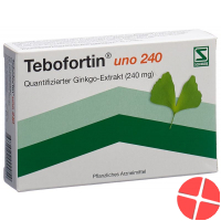 Tebofortin Uno 240 Filmtabletten 240mg 60 Stück