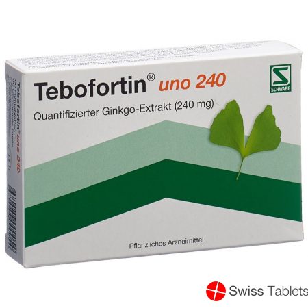 Tebofortin Uno 240 Filmtabletten 240mg 60 Stück buy online