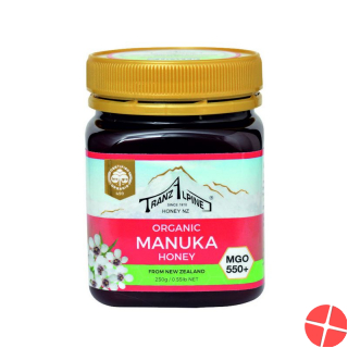 Hoyer Manukahonig Mgo 550+ Bio Glas 250g