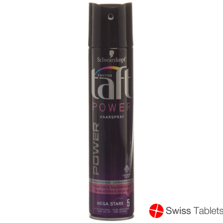 Taft Hairspray Power Cashmere Touch 250ml buy online