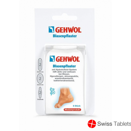 Gehwol Blasenpflaster Assortiert D 3x 2 Stück buy online