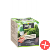 Gesal Buchsbaumzuensler-Falle