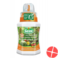 Gesal Kakteen- und Bonsaidünger Flasche 250ml