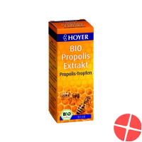 Hoyer Propolis Extrakt Bio Flasche 30ml
