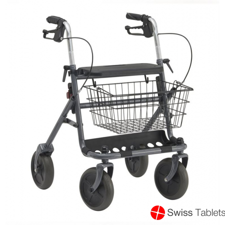 Dietz Rollator Fakto+ 8.3kg Grau 2 Stück buy online