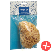 Herba natural sponge small
