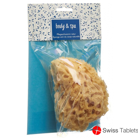Herba natural sponge small buy online