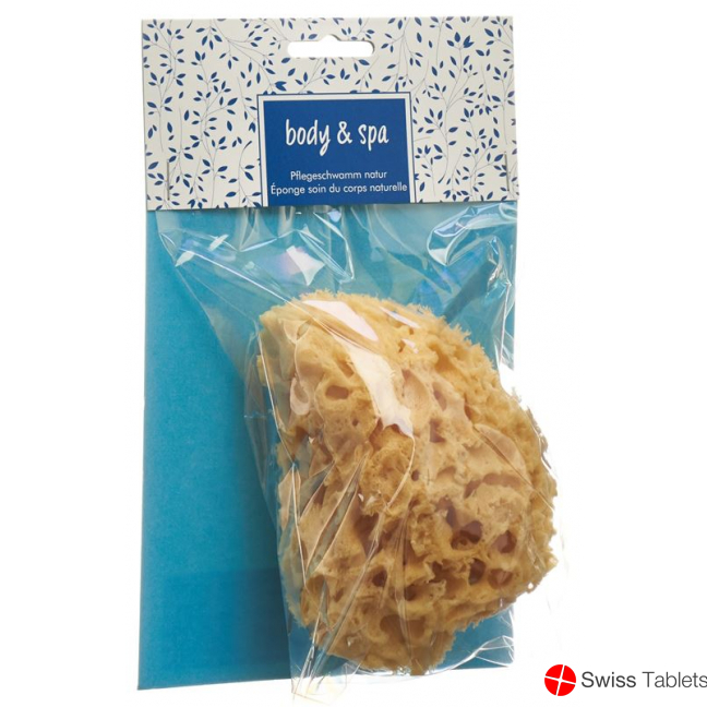 Herba natural sponge small buy online