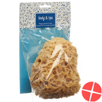 Herba natural sponge big