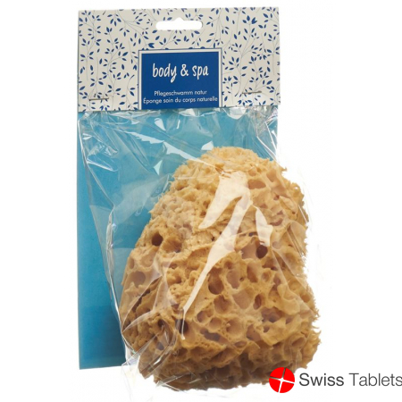 Herba natural sponge big buy online