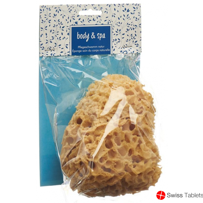 Herba natural sponge big buy online
