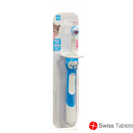 Mam Training Brush Zahnbürste 5+m Neu buy online