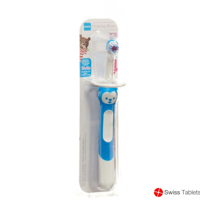 Mam Training Brush Zahnbürste 5+m Neu buy online