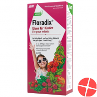Floradix Iron 250 ml solution for children