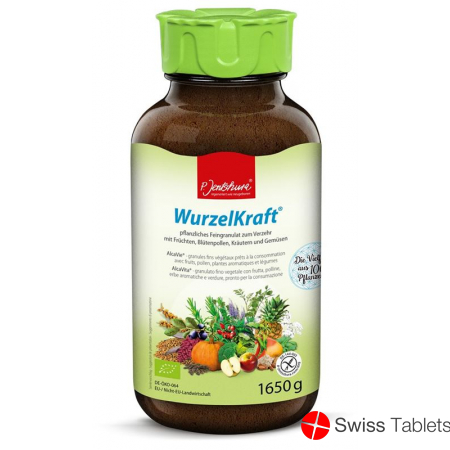 Jentschura Wurzelkraft Feingranulat Bio 1650g buy online