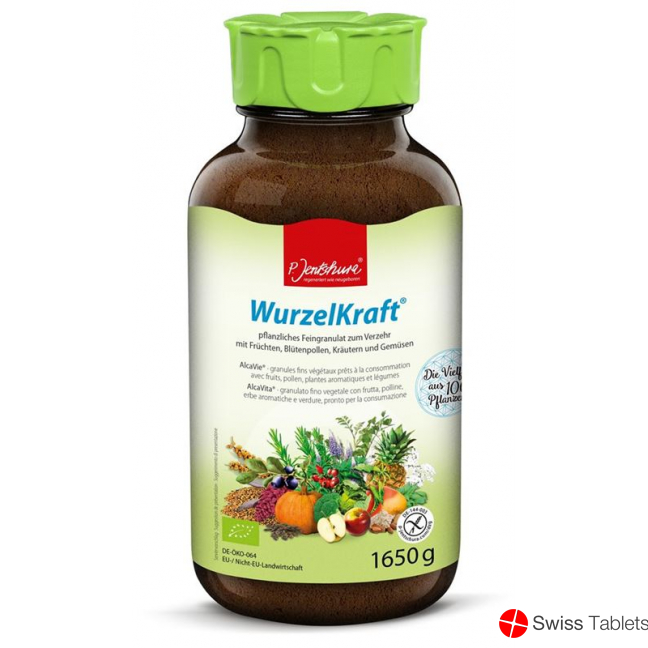 Jentschura Wurzelkraft Feingranulat Bio 1650g buy online
