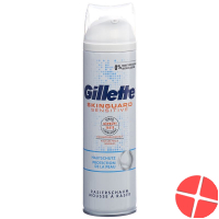 Gillette Skinguard Sensitive Foam 250ml Gillette Skinguard Sensitive Foam 250ml