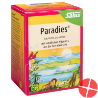 Salus Paradise tea organic with vitamin C bag 15 pieces