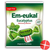 Soldan Em-Eukal Eucalyptus Zuckerfrei Beutel 50g