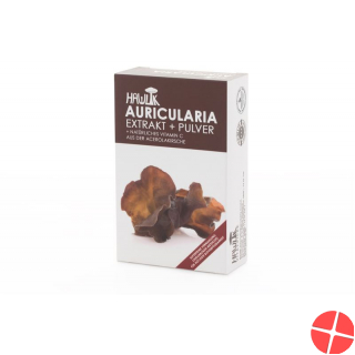 Hawlik Auricularia Extrakt + Pulver Kapseln 60 Stück
