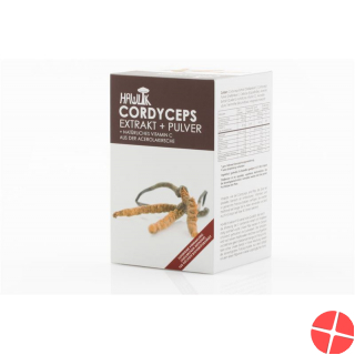Hawlik Cordyceps Extrakt + Pulver Kapseln 120 Stück Hawlik Cordyceps Extrakt + Pulver Kapseln 120 Stück