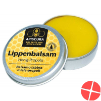 Apiscura Propolis Lippenbalsam Dose 10ml